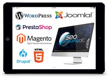 Desarrollo web profesional