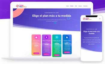 Diseño de páginas web profesionales