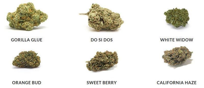 Aceite de CBD