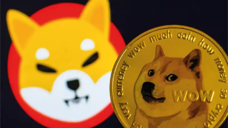 Todo sobre Shiba Inu