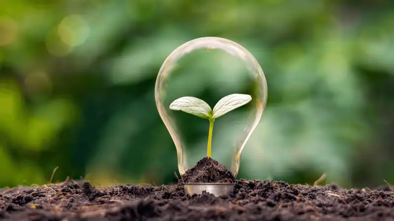 Transición ecológica para empresas